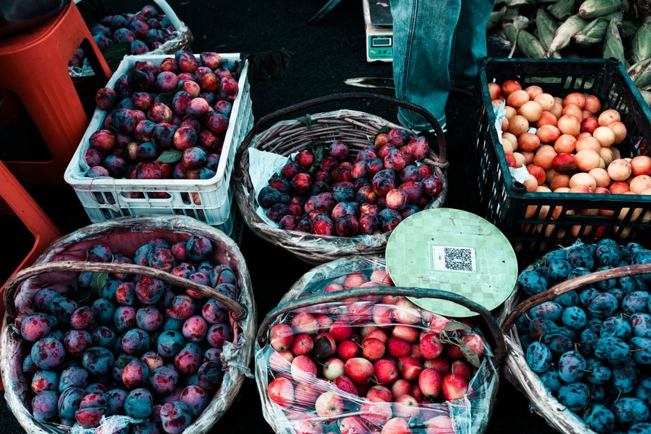 Ashgrove Farmers Market Returns to the Green This Saturday