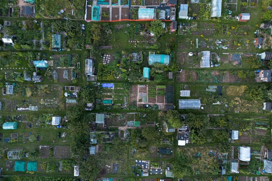 New Community Garden Plots Now Available Along Ashgrove Creek